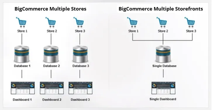 Различать Несколько магазинов против нескольких витрин